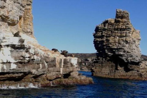 Summer Retreat At Callala Beach - Accommodation Melbourne 7
