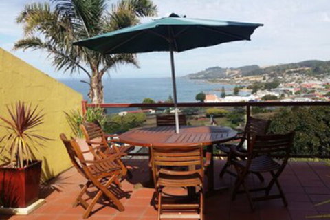 High On Penguin - Accommodation Melbourne 0