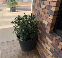 Central Motel - Accommodation Melbourne