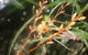 Heavenly Retreat - thumb 5