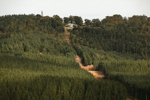 Nannup Hideaway - Accommodation Melbourne 4