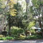 Two Sisters Chalets - Accommodation Melbourne 1