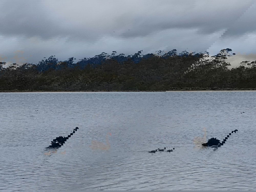  Accommodation Melbourne