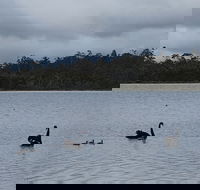 Lake Yalleena Nature Retreat - Accommodation Melbourne