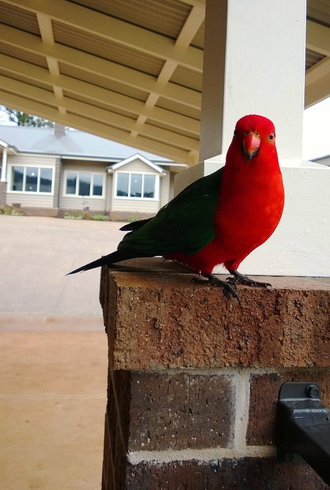 Marysville Garden Cottages - Accommodation Melbourne 3