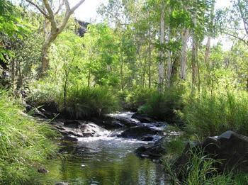 Mt Hart Homestead - Accommodation Melbourne 4