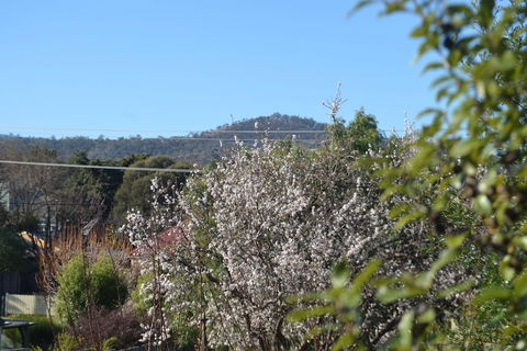 Mulberry Cottage B&B - Accommodation Melbourne 5