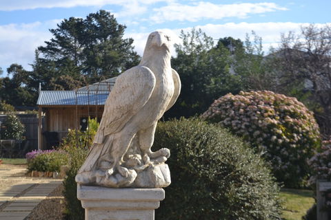 Mulberry Cottage B&B - Accommodation Melbourne 4