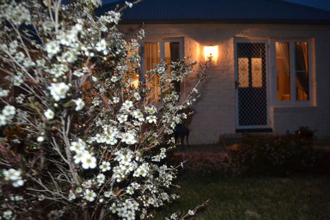 Mulberry Cottage B&B - Accommodation Melbourne 6
