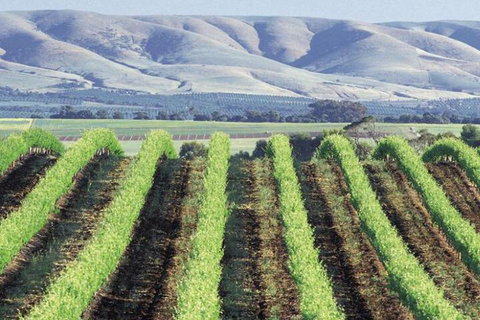 Willunga House - Accommodation Melbourne 4