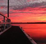 Fairy Wren Cottage Country to Coast Retreat - Accommodation Melbourne