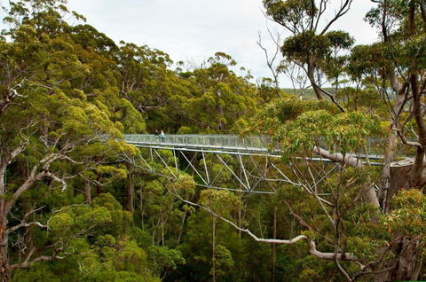 Riverside Retreat Chalets Walpole - Accommodation Melbourne 5
