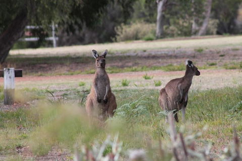 Riverside Retreat Chalets Walpole - Accommodation Melbourne 6