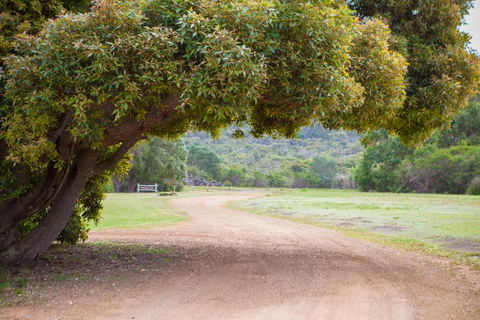 Riverside Retreat Chalets Walpole - Accommodation Melbourne 4