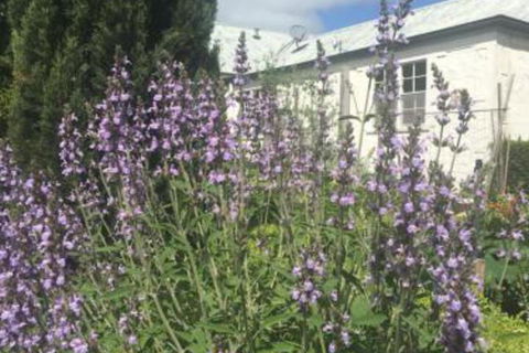 Petschel House - Accommodation Melbourne 1