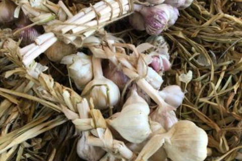 Petschel House - Accommodation Melbourne 6