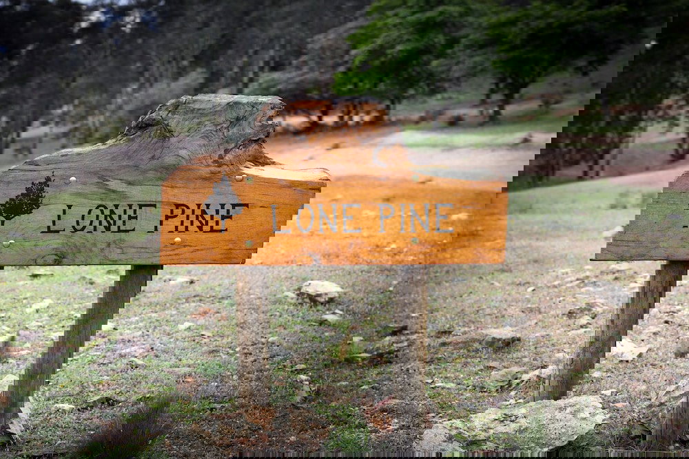 Meroo NSW Accommodation Melbourne