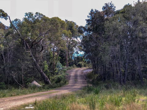 BAY Of FIRES ECO HUT Off Grid Experience At Binalong Bay - Accommodation Melbourne 3