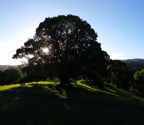 Valleydale Cottage - Accommodation Melbourne 1