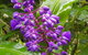 Valleydale Cottage - thumb 4