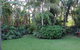 Hidden Oasis Pet Friendly In Anna Bay - thumb 3