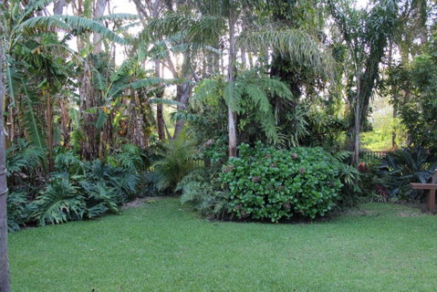 Hidden Oasis Pet Friendly In Anna Bay - Accommodation Melbourne 3