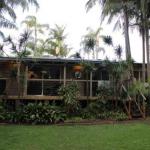 Hidden Oasis Pet Friendly In Anna Bay - Accommodation Melbourne 1