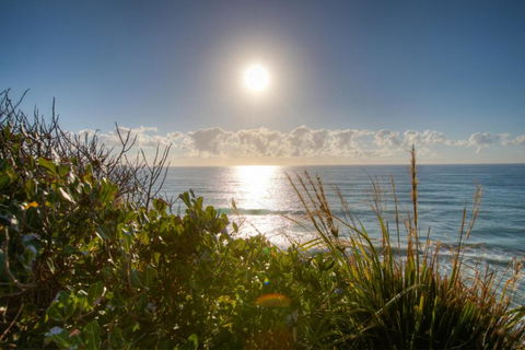 Osprey Sapphire Beach NSW - Accommodation Melbourne 6