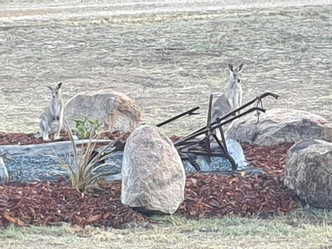 R & R On The Ravine - Accommodation Melbourne 5