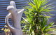 The Sanctuary Studio - thumb 6