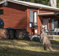 Wonderland Cottages - Accommodation Melbourne