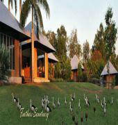 Feathers Sanctuary - Accommodation Melbourne 6