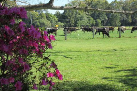 Greenfields - Accommodation Melbourne 2