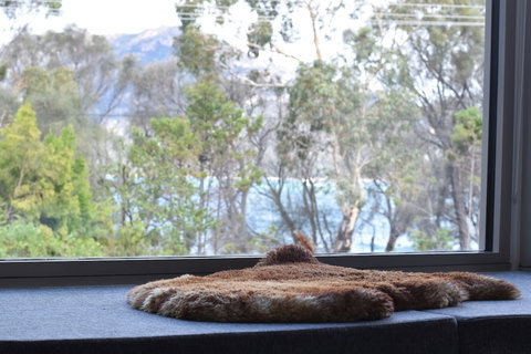 Driftwood - Accommodation Melbourne 0