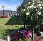 Velika - Accommodation Melbourne