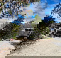 Oystercatcher - Accommodation Melbourne