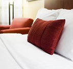 The Accommodation Group  Brierwood Luxurious Evandale Cottage - Accommodation Melbourne