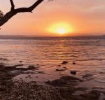 Paradise Beach Apartments - Accommodation Melbourne