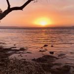 Paradise Beach Apartments - Accommodation Melbourne 0