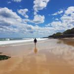 Arena Luxury Beachfront Apartment - Melbourne 4u 0