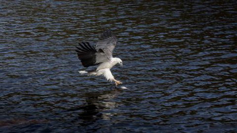 Arthur Riverfront & Sea Lodge Upstream - Melbourne 4u 1