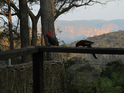 Canyon Cottage - Accommodation Melbourne 6