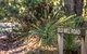 Bussells Bushland Cottages - thumb 1