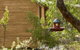 Bussells Bushland Cottages - thumb 3