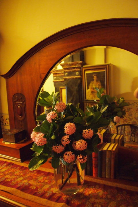 Vacy Hall Toowoomba's Grand Boutique Hotel - Accommodation Melbourne 6