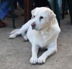 Nazaaray Beach House - Accommodation Melbourne