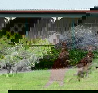 Cedar Lodge Cabins - Accommodation Melbourne