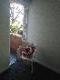 Abbeville Apartments - Accommodation Melbourne 5