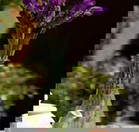 At Eleven - Accommodation Melbourne