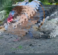 Halls Haven Holiday Units - Accommodation Melbourne